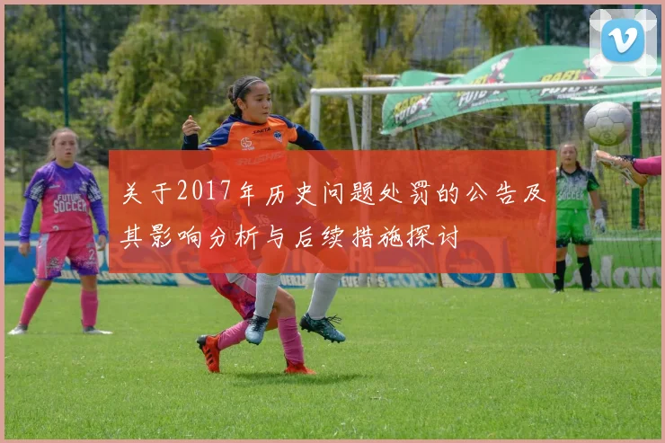 关于2017年历史问题处罚的公告及其影响分析与后续措施探讨